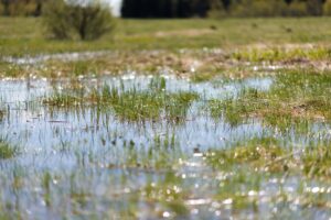 How To Ensure Your Sump Pump Is Ready for Spring Rains