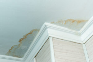 Close up of a water stain on the ceiling of a residential home