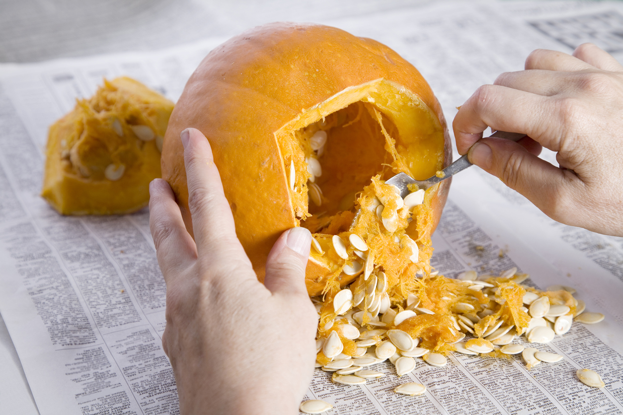 Pumpkin Carving Can Be Dangerous – For Your Plumbing