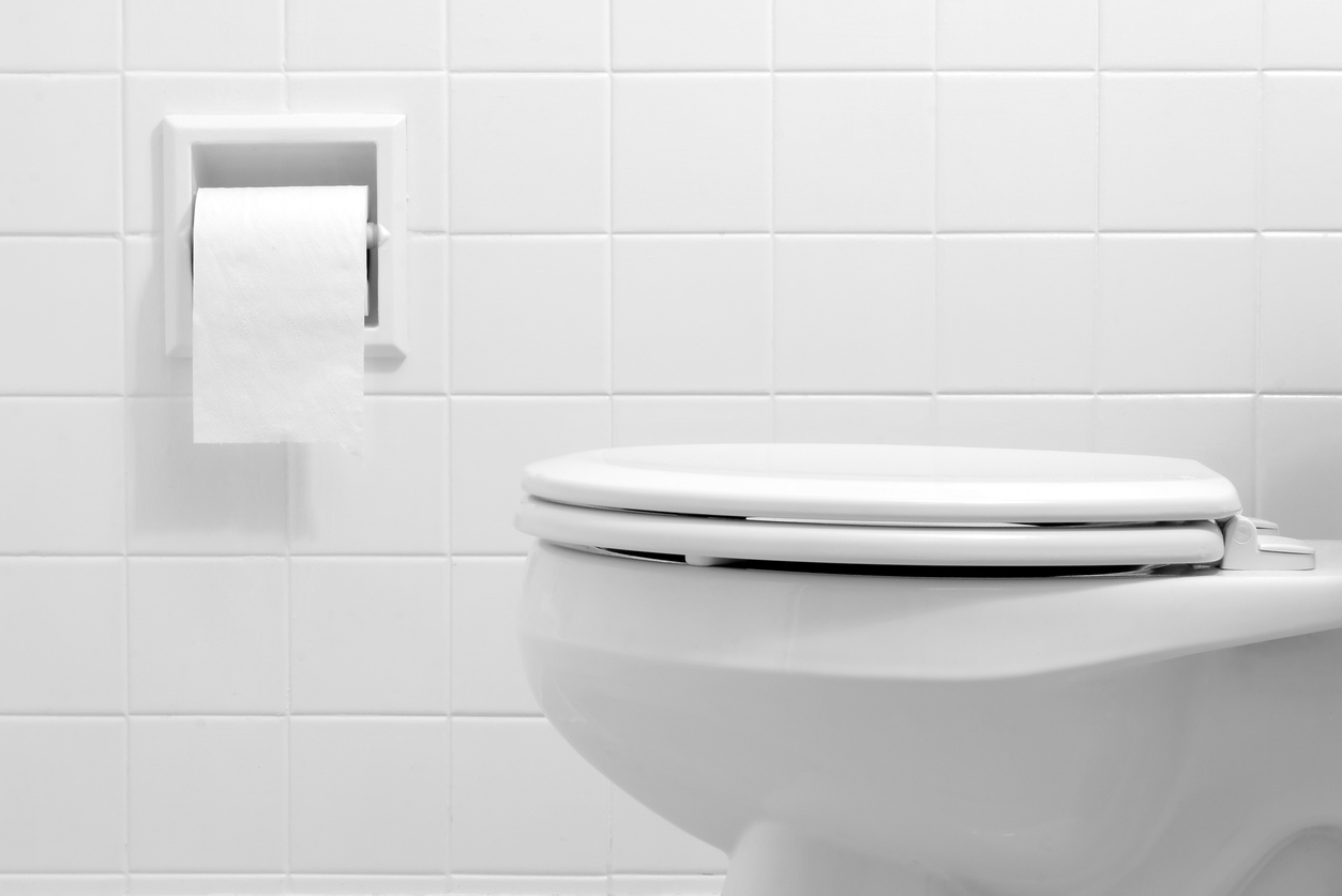 Most Common Toilet Types Around The World