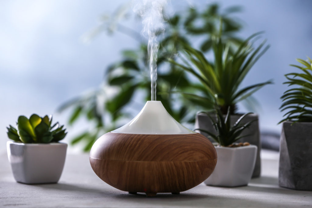 Aroma oil diffuser and succulents on blurred background