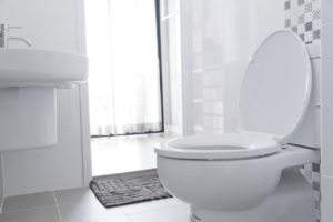 Signs It’s Time to Change Your Toilet Seat