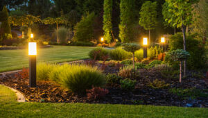 Panoramic Photo of LED Light Posts Illuminated Backyard Garden During Night 