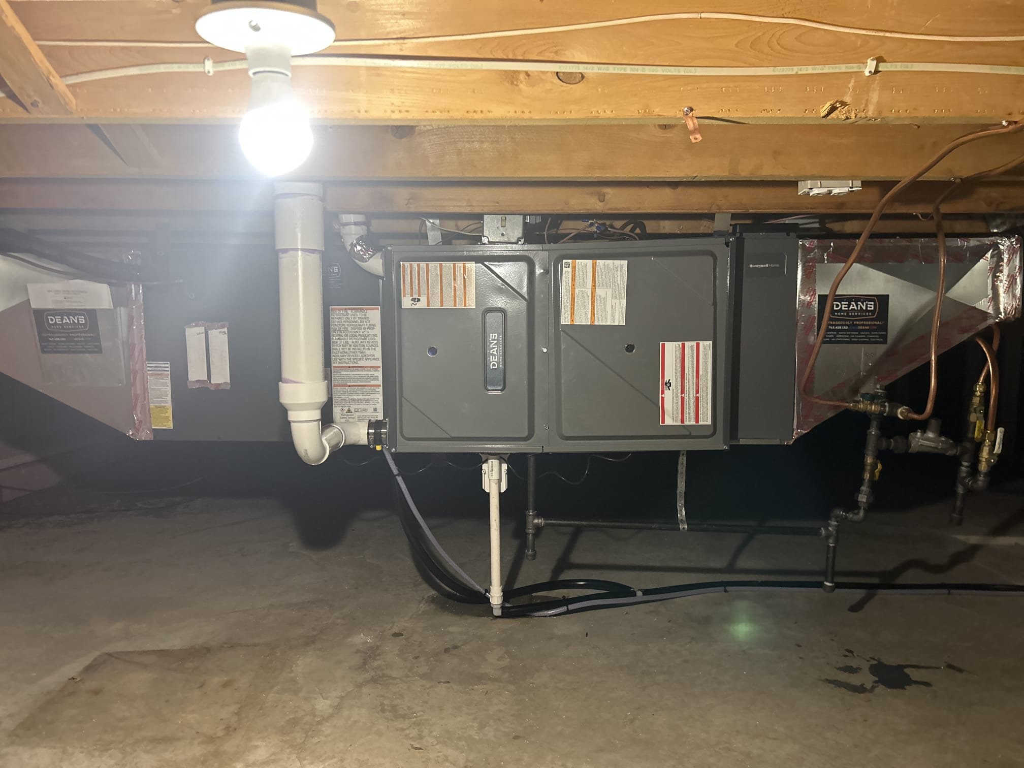 David R, Eddie G, Justin St, Korey D, Nick G