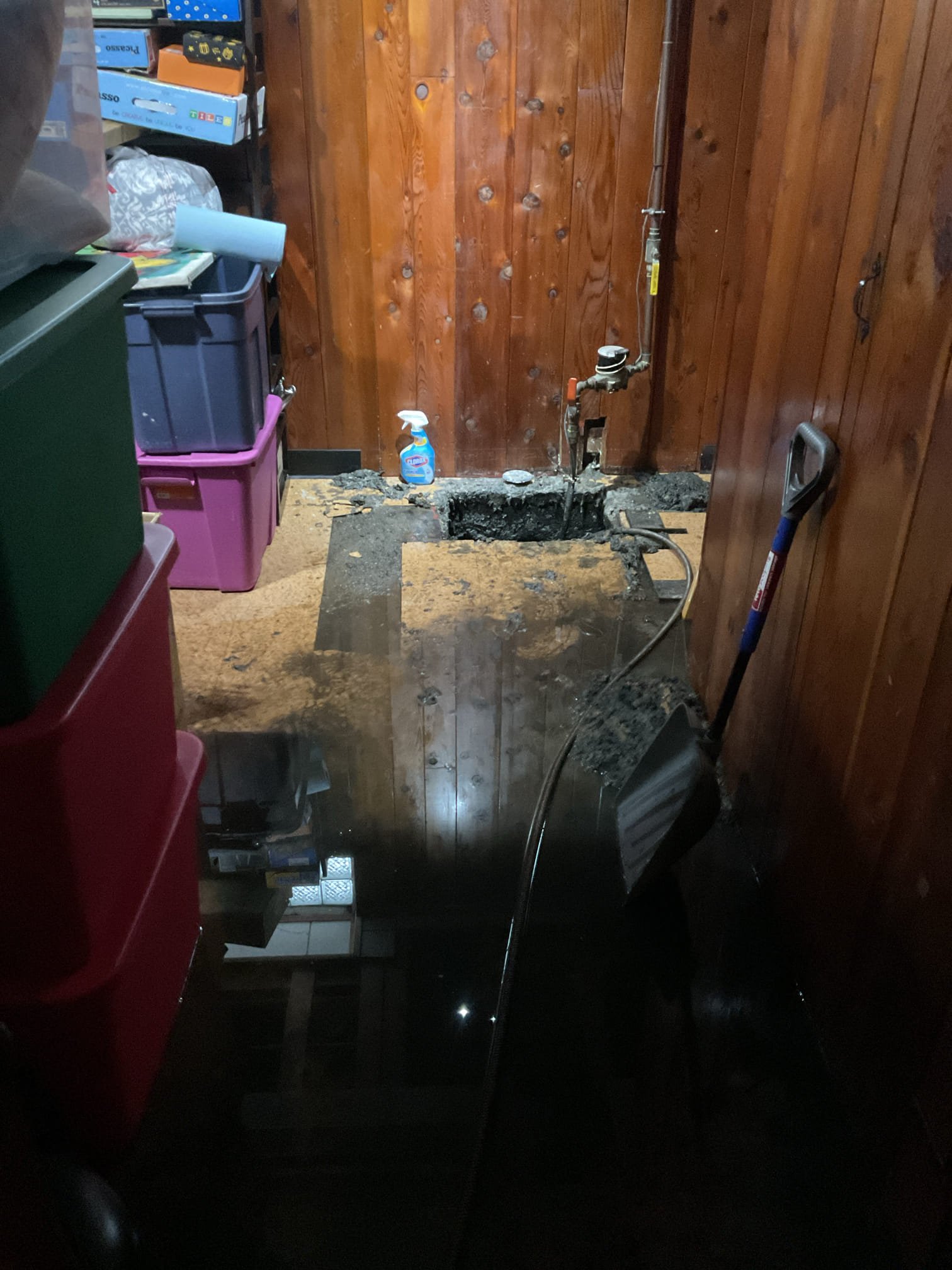 Christian F, Eli D, Jake L, Springer, Travis A