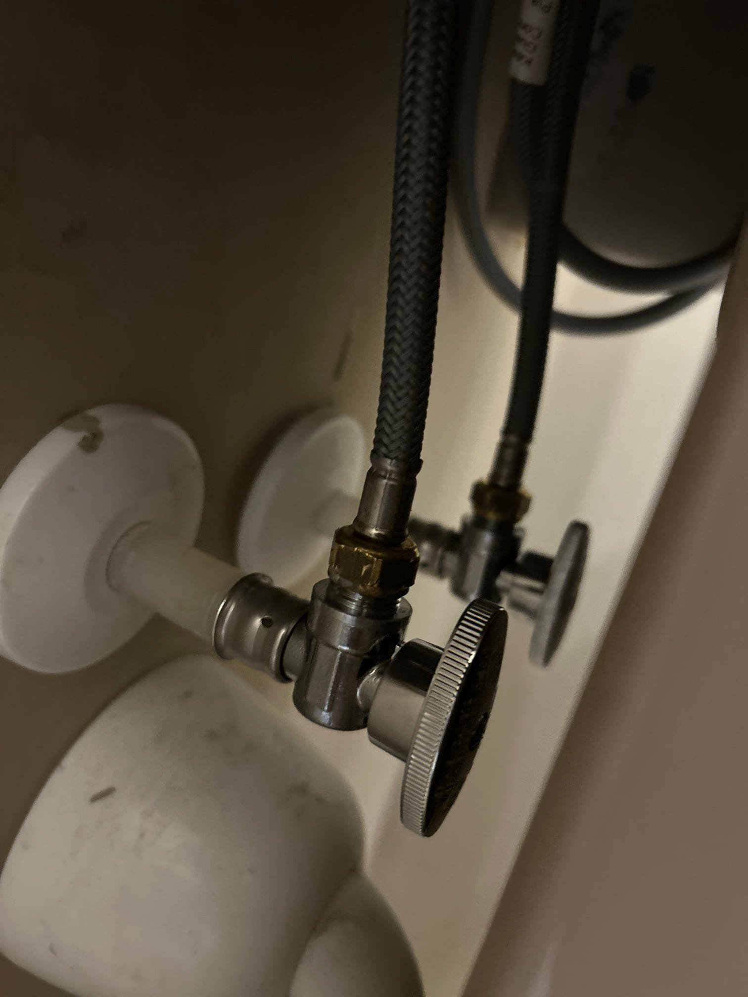 Brandon Sp, Kolten D