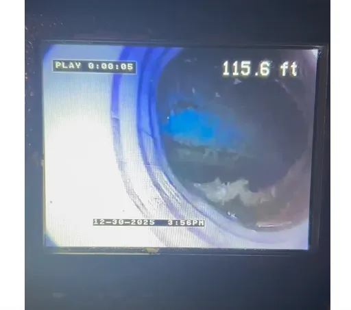 Caden J, Christian F, Springer, Travis A