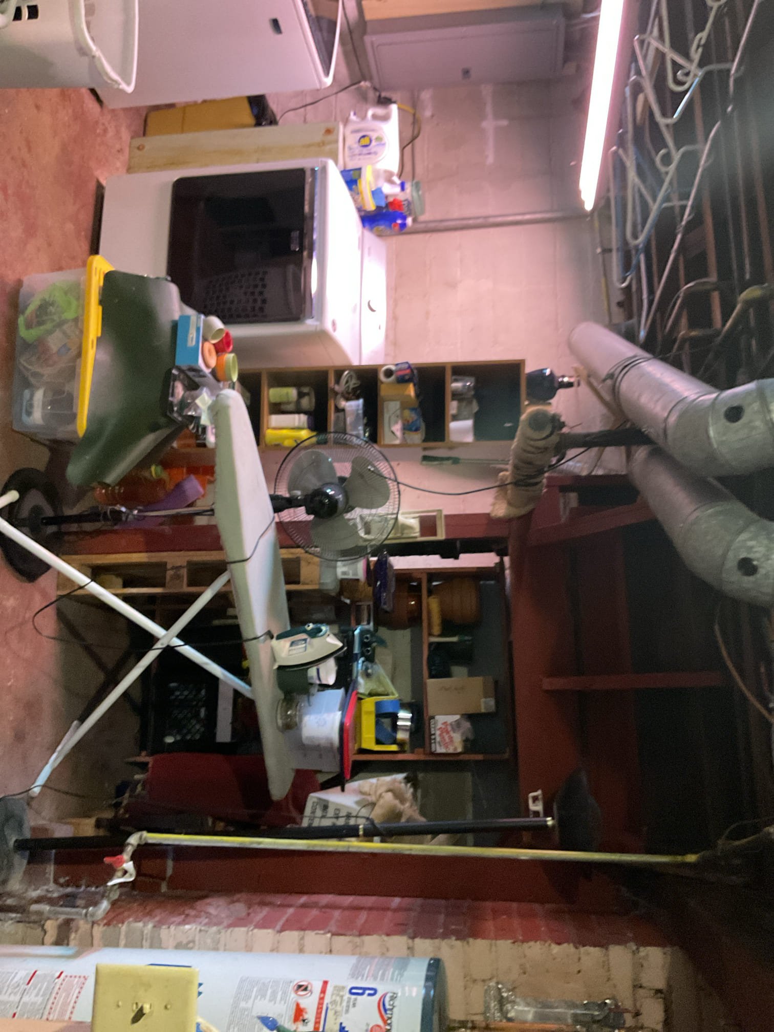 Brandon Sp, Kolten D