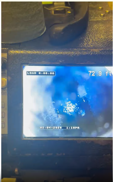 Christian F, Springer, Travis A