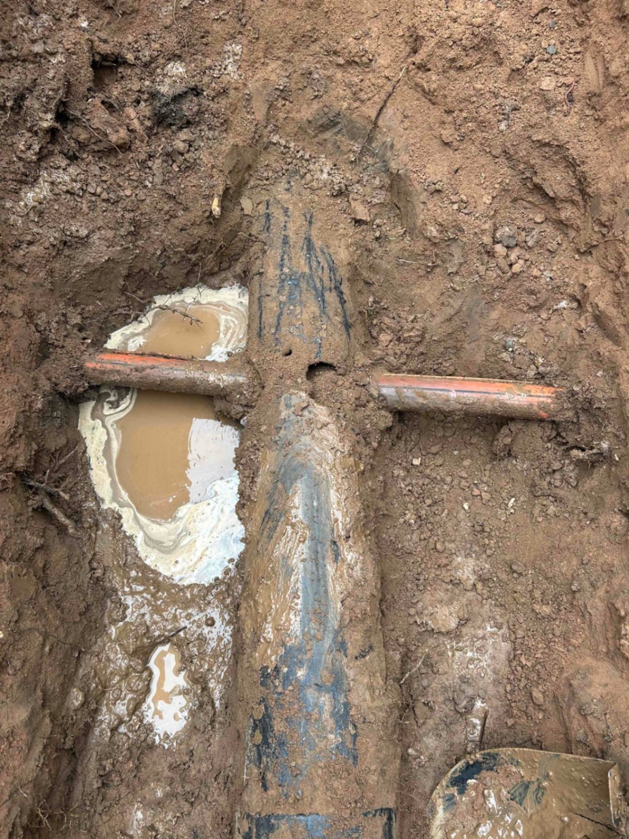 Christian F, Jake L, Sam D, Travis A