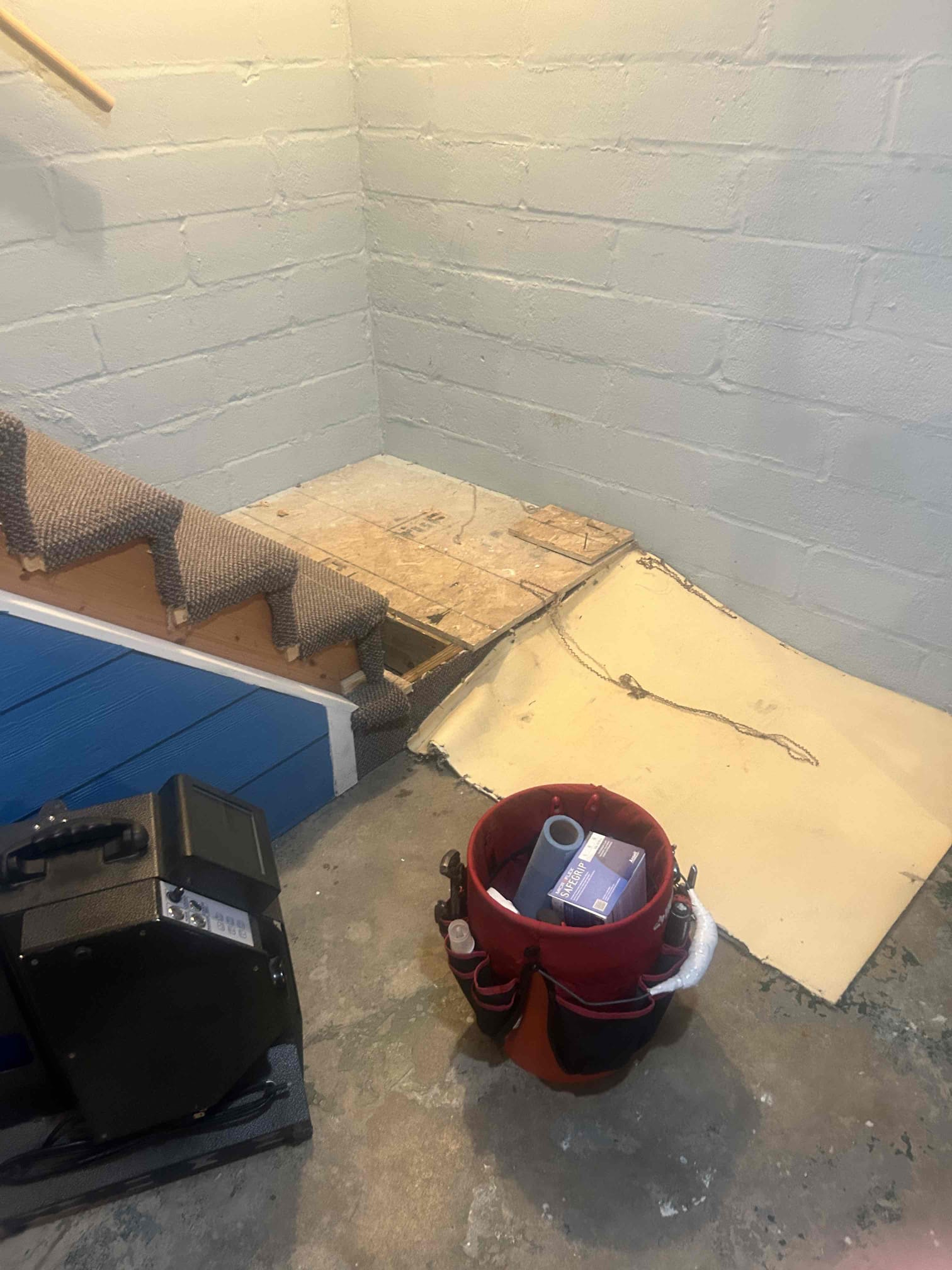 Jake L, Jake P, Springer, Trey B