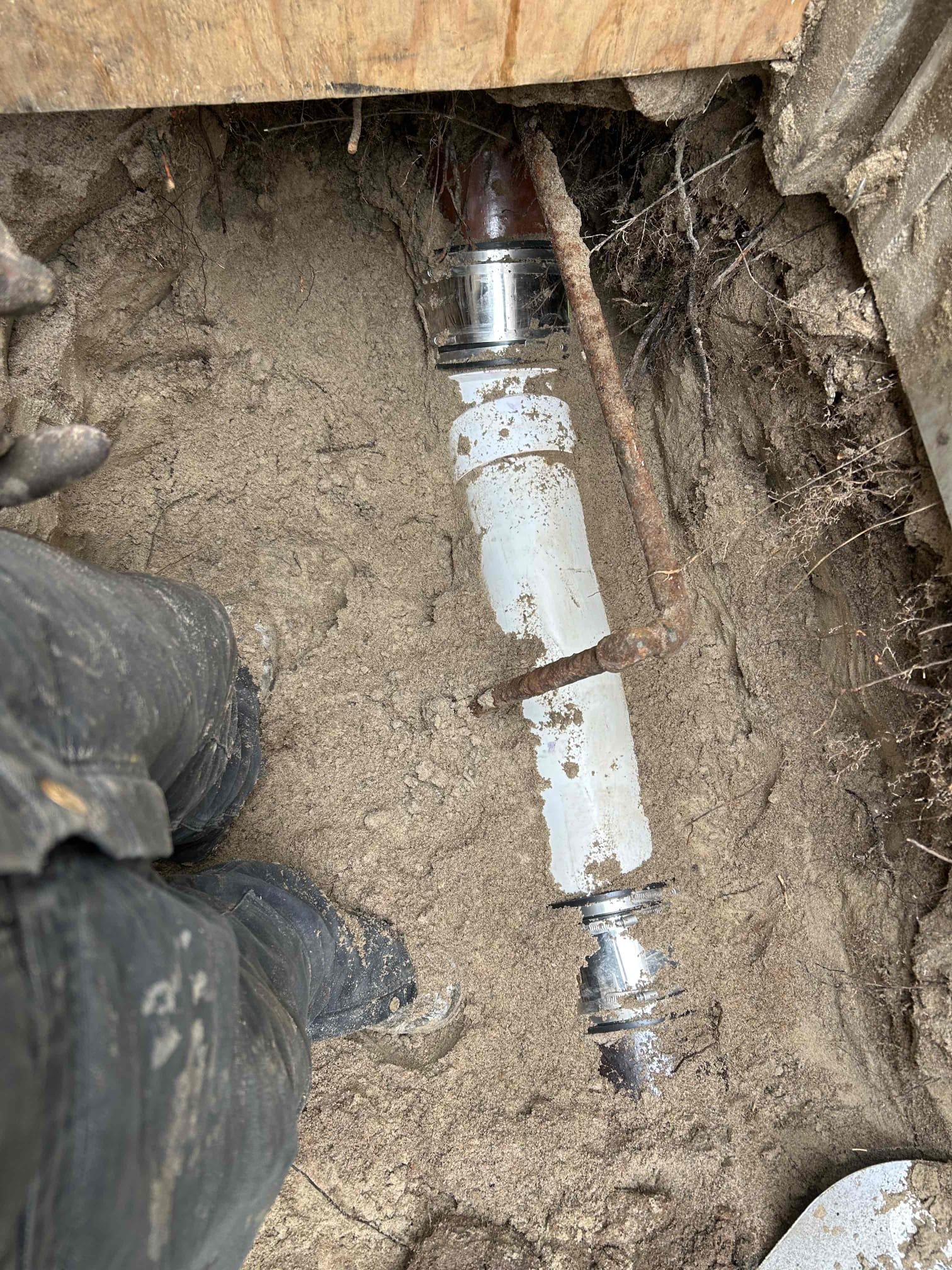 Christian F, Jake P, Richard K, Springer, Travis A