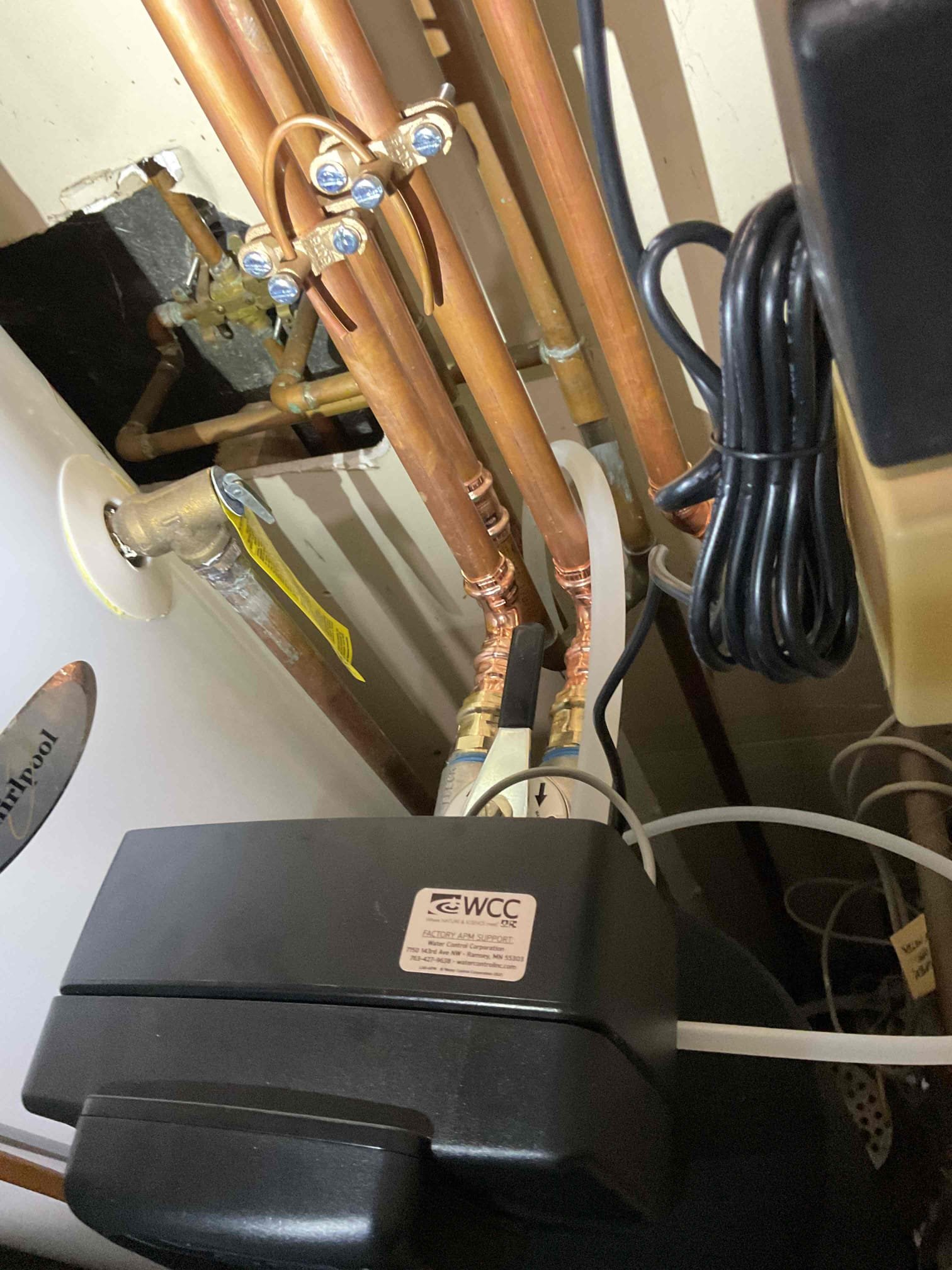 Sebastian S, Trevor G