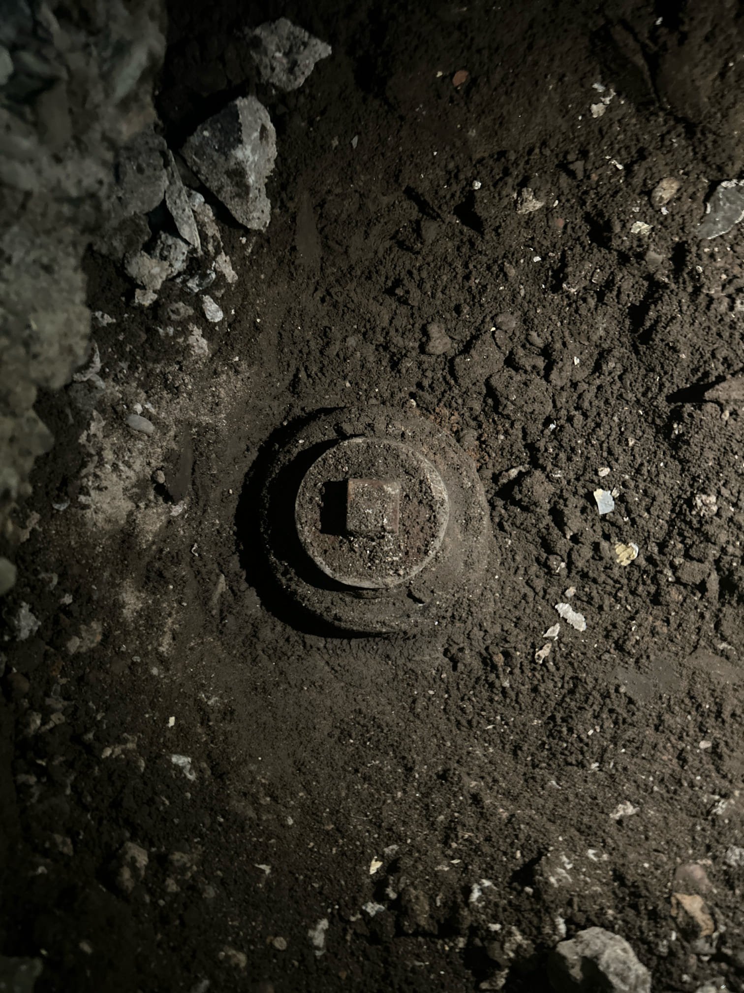 Jake P, Springer, Travis A, Trey B