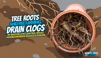 Tree Roots and Recurring Drain Clogs in Brooklyn Center: What Homeowners Should Know
