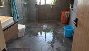 What Causes Recurring Clogged Drains in Brooklyn Park Homes?