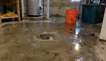 Why Is My Basement Floor Drain Backing Up in Maple Grove?
